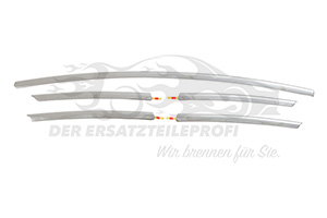 Zier- Schutzleiste für Stoßfänger Renault 960100351R