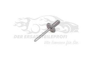 Niete für Lautsprecher (VPE 10)