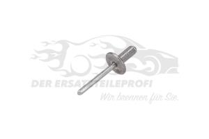 Niete für Lautsprecher (VPE 10)