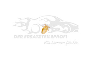 Befestigungsstopfen