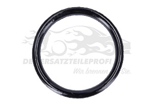9810029480 LEITUNGDICHTUNG Citroen / Peugeot / Opel