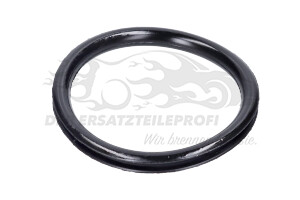 9810029480 LEITUNGDICHTUNG Citroen / Peugeot / Opel