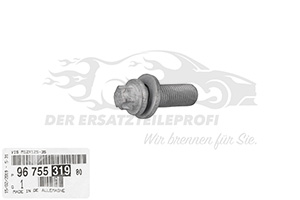 Schraube für Achsstummel Citroen 9675531980
