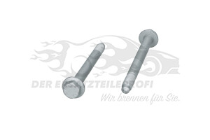 6923F1 Schraube M14x1,50-150 (VPE 2) Citroen