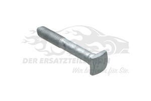 6925L7 Befestigungsschraube M10x1,50-79 (VPE 5) Peugeot