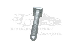 6925L7 Befestigungsschraube M10x1,50-79 (VPE 5) Peugeot