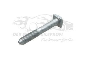 6925L7 Befestigungsschraube M10x1,50-79 (VPE 5) Peugeot