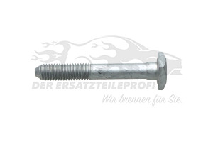6925L7 Befestigungsschraube M10x1,50-79 (VPE 5) Peugeot