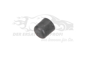 Haltestopfen für Türverkleidung Renault 242532873R