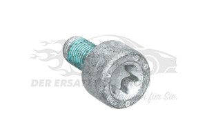 Schraube für Halter Bremssattel hinten