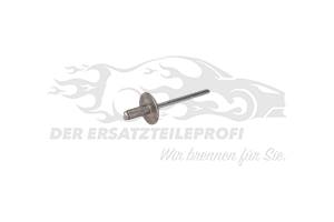 7703072424 Niete für Stoßfänger (VPE 10) Renault