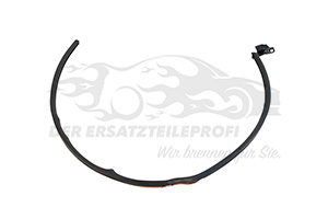 828315771R Türdichtung B-Säule links Dacia