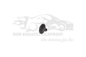 Befestigungsclip für Schmutzfänger