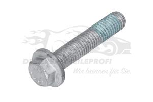 7703102085 Schraube für Spannrolle Renault