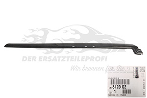 Zier- Schutzleiste für Frontscheibe Citroen 8120Q2