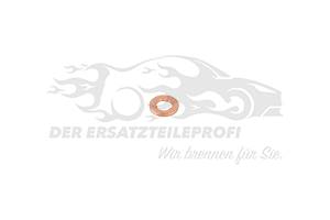 Dichtung für Einspritzdüse
