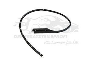 828317955R Türdichtung Hintertür links unten Renault
