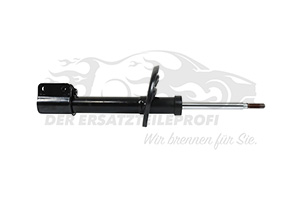 543029600R Stoßdämpfer vorne Dacia