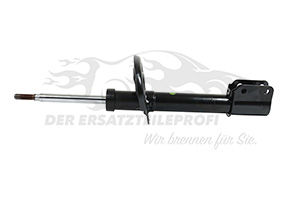 Stoßdämpfer Dacia 543029600R