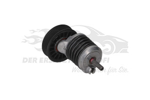 028903315M Spannrolle mit Spannarm 