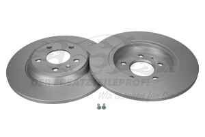 Bremsscheibe hinten 300x12