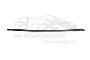 Leiste Stoßfänger hinten
