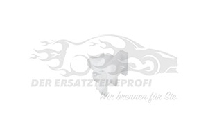 2409573 Clip, Zier-/Schutzleiste Ford