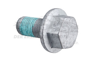 Schraube für Halter Bremssattel hinten