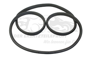 769245314R Türdichtung Hintertür links Dacia