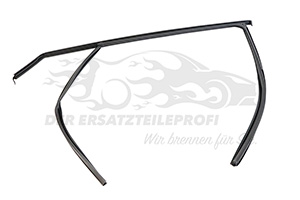 803309796R Fensterdichtsatz (Seitenscheibe) Renault