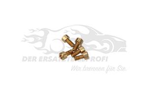 Original Citroen Entlüfterschraube Thermostatgehäuse (VPE 5)
