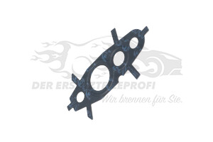8201720440 Dichtung für Ölleitung Renault