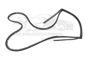 769248085R Türdichtung Hintertür links Renault