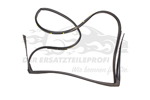 Türdichtung Renault 769236687R