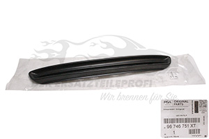 Lüftungsgitter für Stoßstange Peugeot 96746751XT