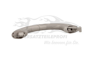 8200497434 Türgriff innen hinten rechts oben Renault