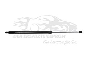 Heckklappendämpfer