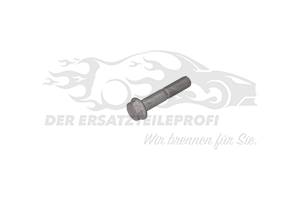 Schraube für Stoßdämpfer 7703102057