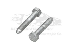 7601061 Schraube M8 für Traggelenkbefestigung (VPE 2) 