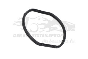 25189205 Dichtung Thermostatgehäuse Corteco / Reinz / Federal / Elring