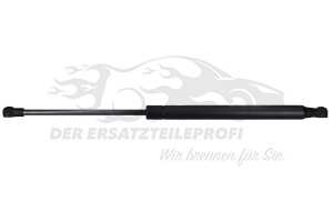 13243589 Heckklappendämpfer beidseitig 
