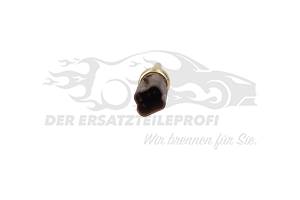 9810048680 Kühlmitteltemperatursensor 2-polig Citroen