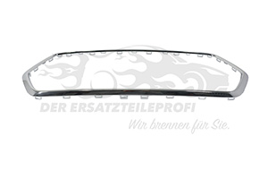 2464982 Zier-/Schutzleiste, Kühlergitter Ford