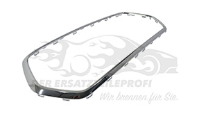 2464982 Zier-/Schutzleiste, Kühlergitter Ford