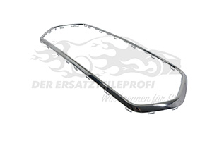2464982 Zier-/Schutzleiste, Kühlergitter Ford
