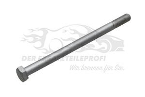 Schraube für Bremssattel