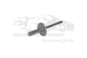 9108109 Niete Citroen / Peugeot / Opel