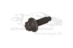 TORX-SCHRAUBE