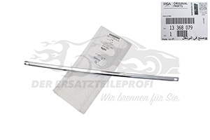 Blende für Stoßstange Opel 13368079