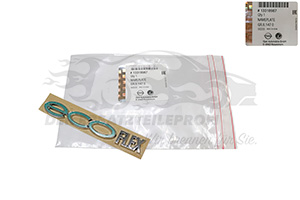 Schriftzug Opel 13318987